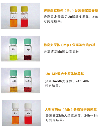 迪爾支原體（UU、Mh）分離培養(yǎng)藥敏試劑盒