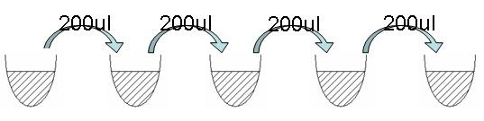 2. 沙眼衣原體-黎明-1