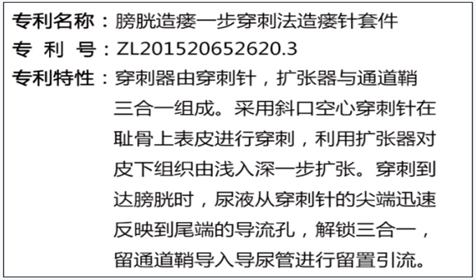 一次性使用無(wú)菌引流導(dǎo)管套裝（球囊型）