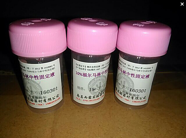 15mL胃鏡小組織塑料標(biāo)本瓶（另配信息標(biāo)簽）