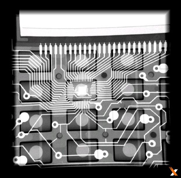 美國(guó)Faxitron生物學(xué)X射線(xiàn)小動(dòng)物骨密度儀