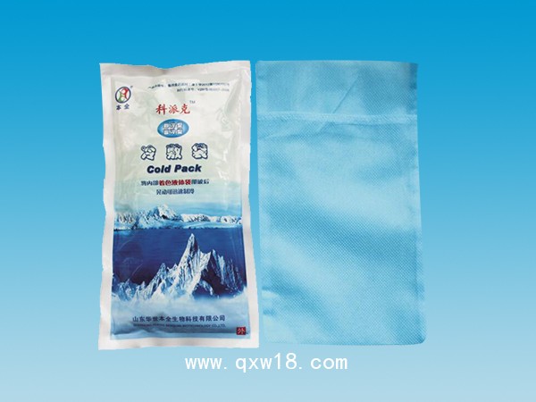 醫(yī)用冰袋成人型