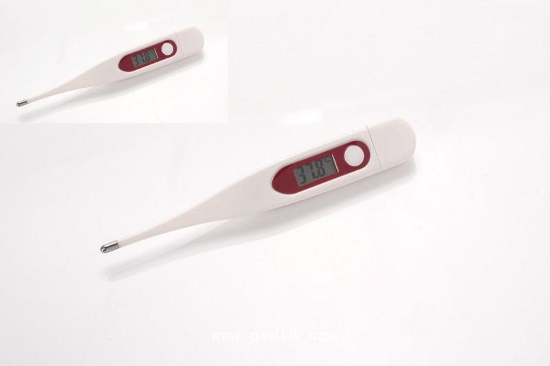 硬頭電子體溫計(jì)L900A