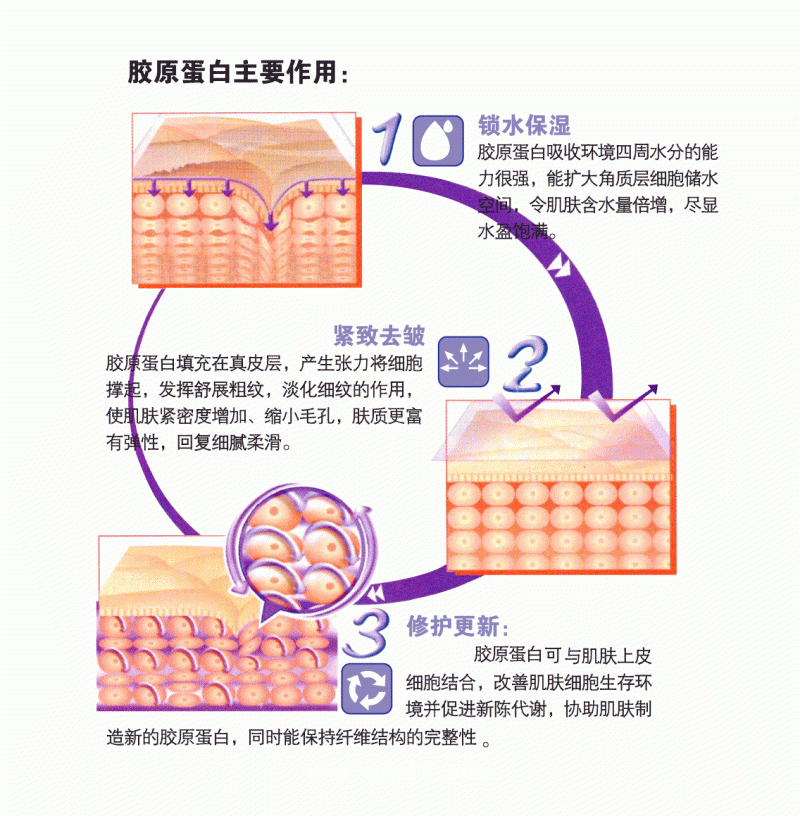 美卿皮膚修復貼敷料