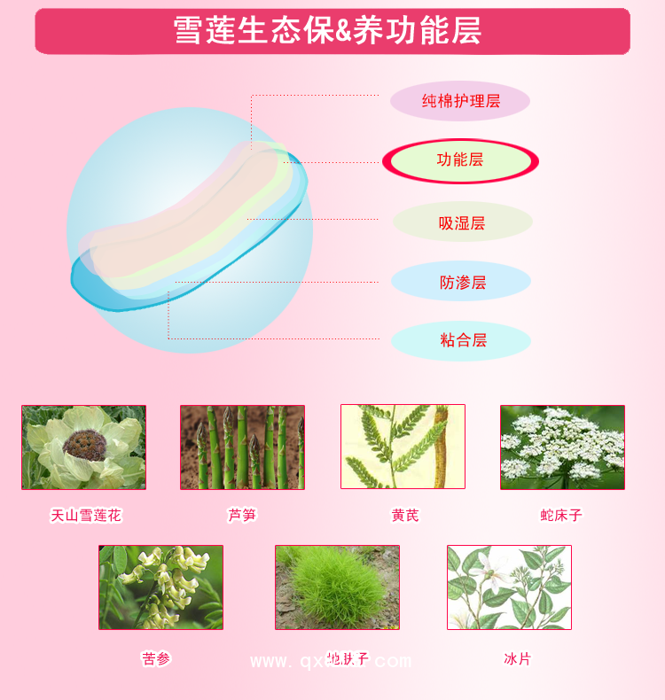 排毒養(yǎng)元貼定制，雪蓮貼OEM貼牌，貼膏生產(chǎn)廠家