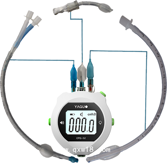 雅果電子氣囊測壓表