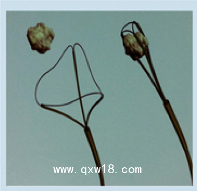 美國庫克 COOK取石網(wǎng)籃NGE-017115-MB