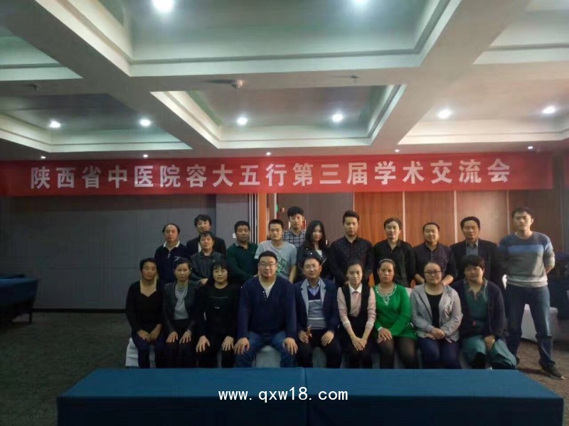 中醫(yī)治療儀