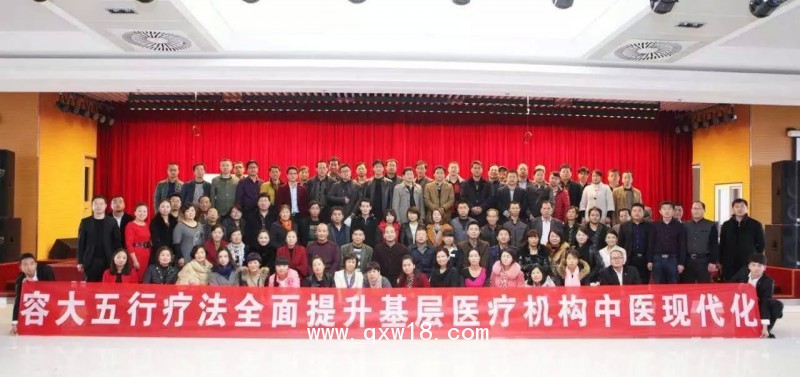 中醫(yī)治療儀