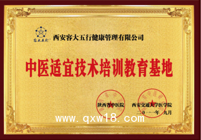 康復(fù)經(jīng)絡(luò)儀