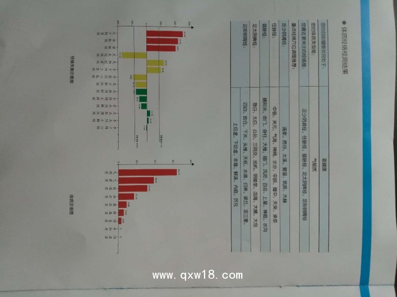 中醫(yī)體質(zhì)經(jīng)絡(luò)檢測(cè)儀