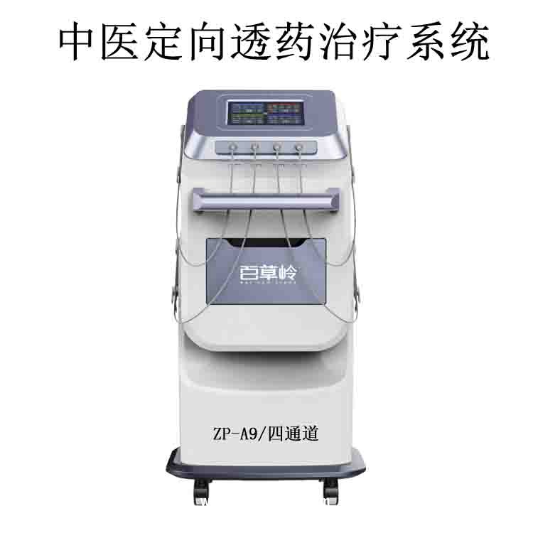 中藥離子導(dǎo)入儀-（中醫(yī)康復(fù)設(shè)備）