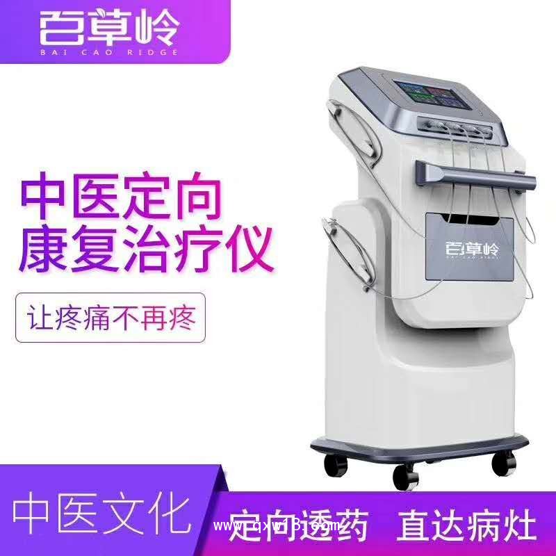 中藥離子導(dǎo)入儀-離子導(dǎo)入電治療