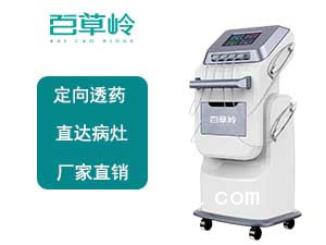 腦循環(huán)功能障礙治療系統(tǒng) 百草嶺醫(yī)療