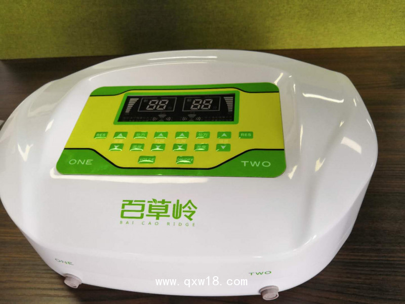 中藥離子導(dǎo)入儀 離子導(dǎo)入