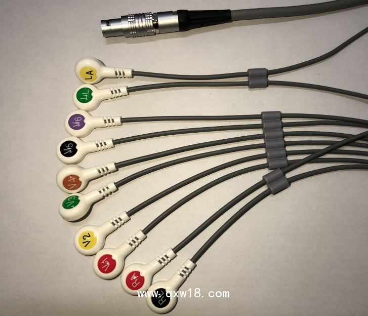 藍港動態(tài)導聯(lián)線,holter十二導動態(tài)心電線