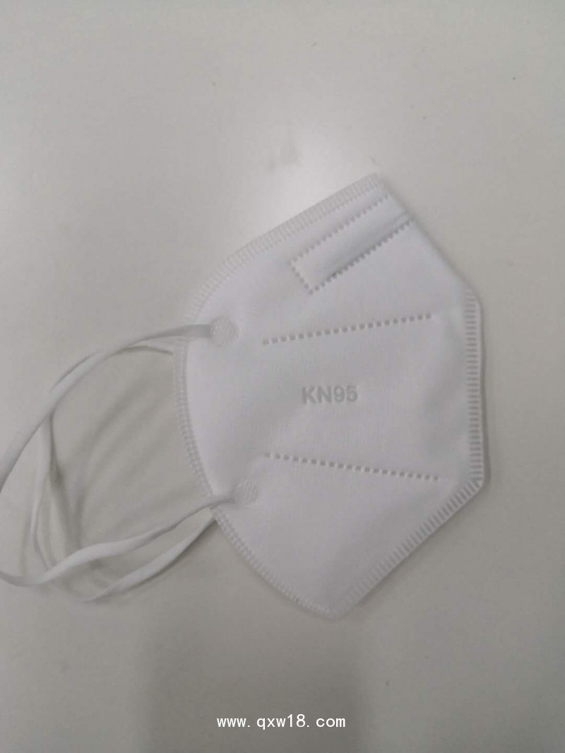 黑果花楸內(nèi)置5層kn95口罩