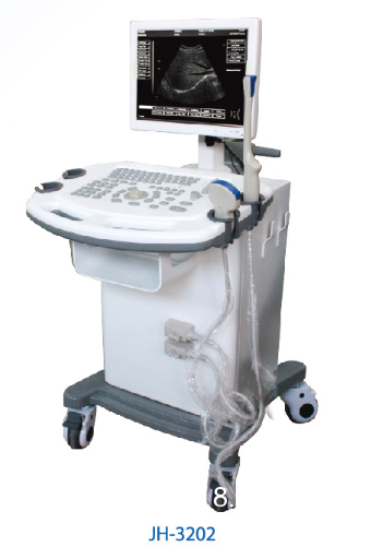 B型全數(shù)字超聲診斷儀生產(chǎn)供應商