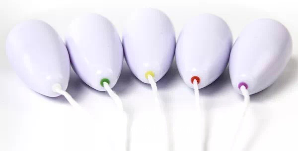 陰道啞鈴--盆底肌肉康復(fù)器