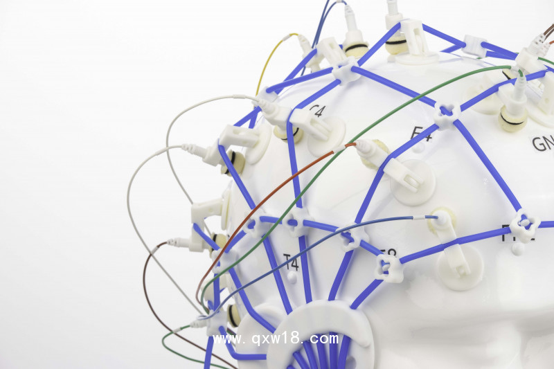 橋式電極一體線Bridge Electrodes