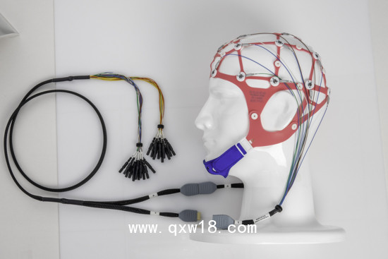 腦電電極金盤盤狀電極線束
