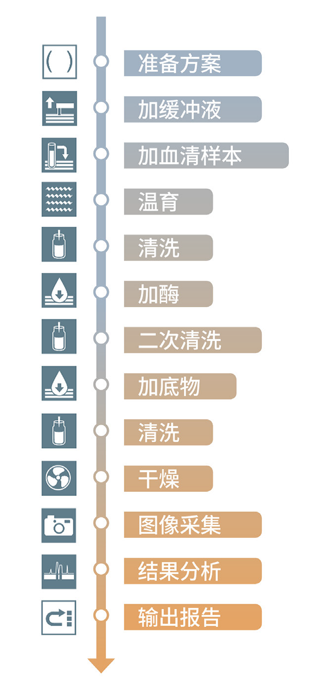 全自動(dòng)免疫印跡檢測(cè)系統(tǒng)EUROLineMaster Plus