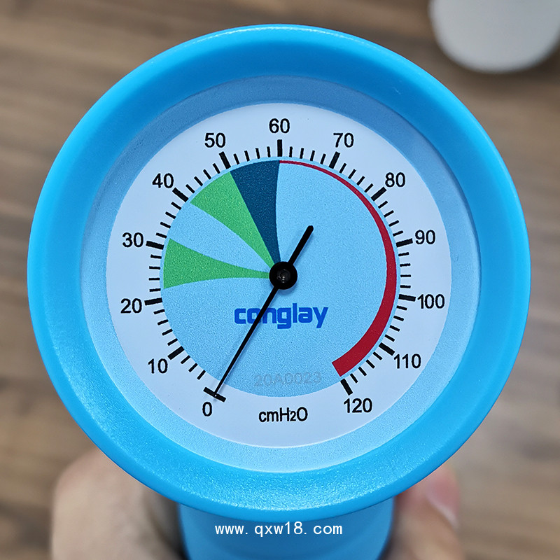 氣囊測(cè)壓表 手持式氣囊壓力表