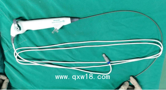 斑馬一次性使用輸尿管內(nèi)窺鏡導管