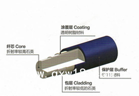 瑞柯恩一次性使用鈥激光光纖