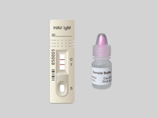 甲型肝炎病毒IgM抗體檢測(cè)試劑盒（膠體金法）