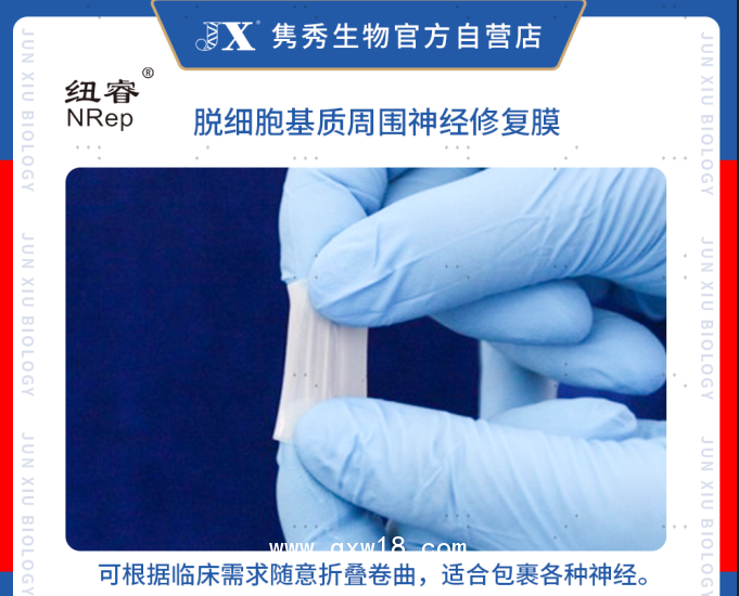 脫細(xì)胞基質(zhì)周圍神經(jīng)修復(fù)膜（紐睿）