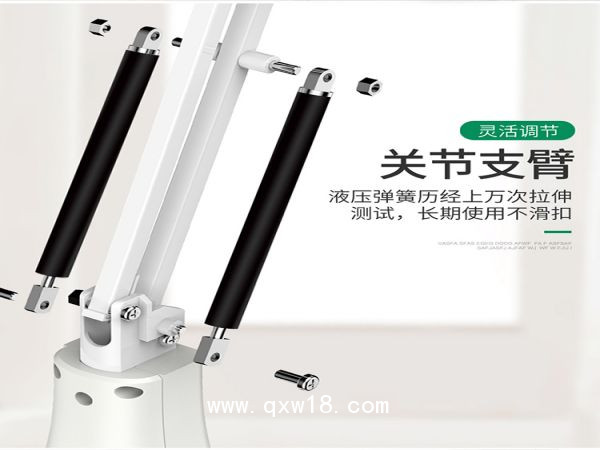 遠紅外 頻譜治療儀 LY-608B