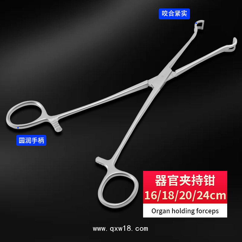 德國不銹鋼制成器官夾持鉗 基礎外科夾持鉗 無損傷夾持鉗醫(yī)用鉗