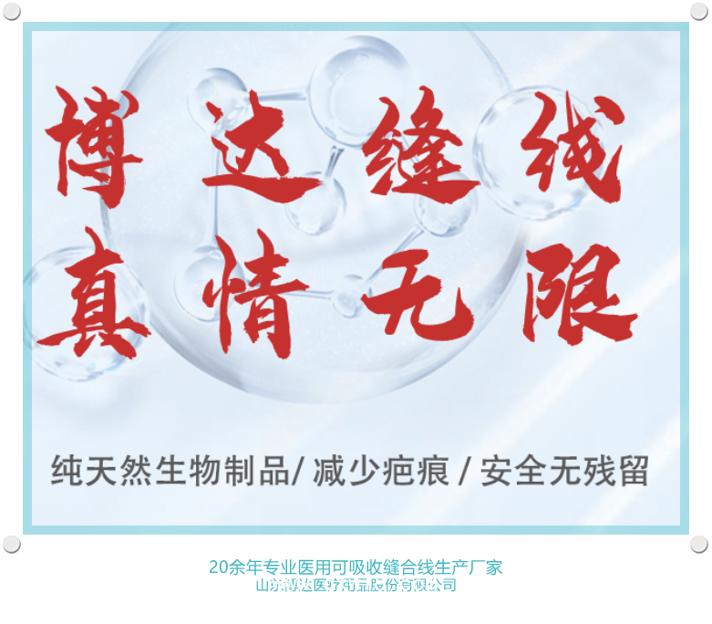 博達八根針3-0圓針八針八線聚乙醇酸可吸收縫合線