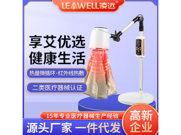 電子無煙艾灸儀 醫(yī)院招標艾灸治療儀電 LY-AJ07b