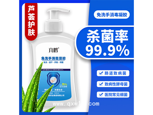 六鶴免洗凝膠洗手液500ml含75%酒精消毒凝膠免洗手液
