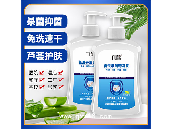 六鶴免洗凝膠洗手液500ml含75%酒精消毒凝膠免洗手液