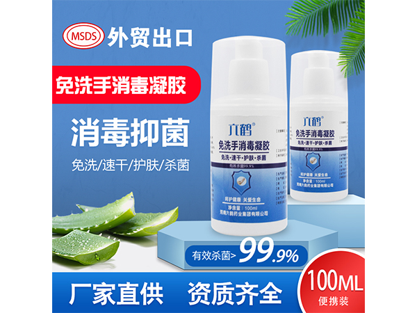 六鶴免洗手蘆薈消毒凝膠100ml 75度乙醇?xì)⒍? width=