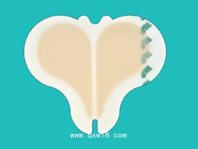 一次性使用無(wú)菌敷貼（壓瘡褥瘡貼）