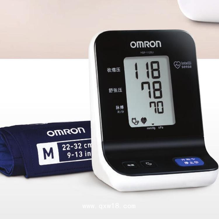 歐姆龍電子血壓計(jì) HEM-1020