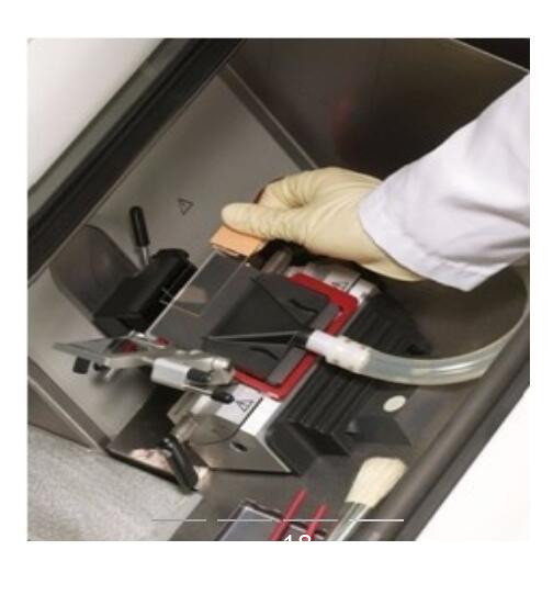 徠卡冷凍切片機(jī) Leica CM1950