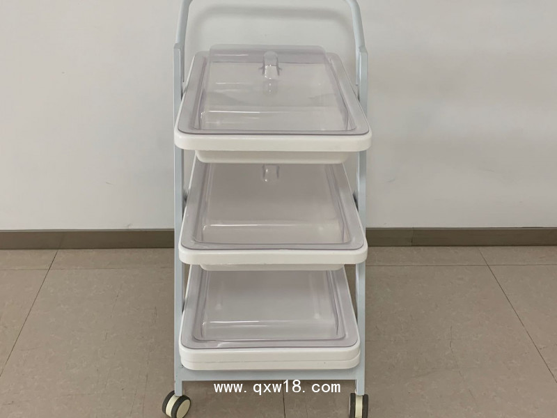 內(nèi)鏡轉(zhuǎn)運(yùn)車雙層三成小推車