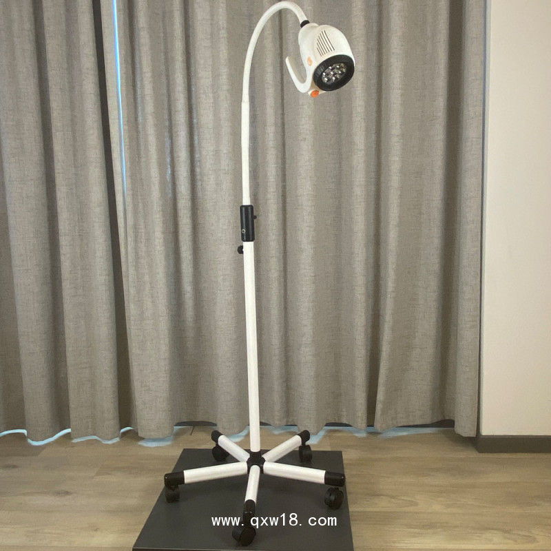 21WLED大把手鵝頸軟管醫(yī)用門診婦檢微整移動檢查手術(shù)照明燈