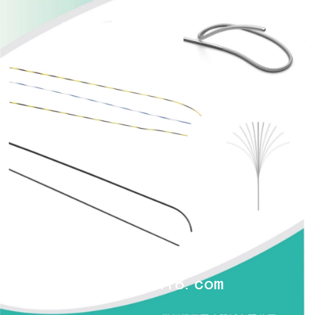 非血管腔斑馬導絲