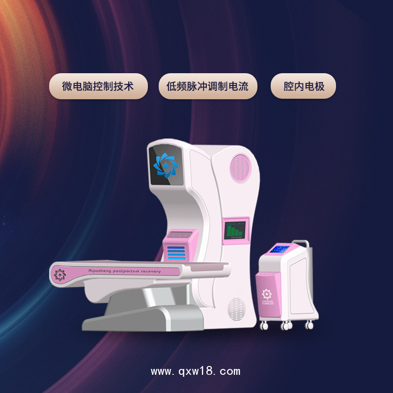 婦科治療儀 婦科綜合護(hù)理儀 婦科多功能理療儀