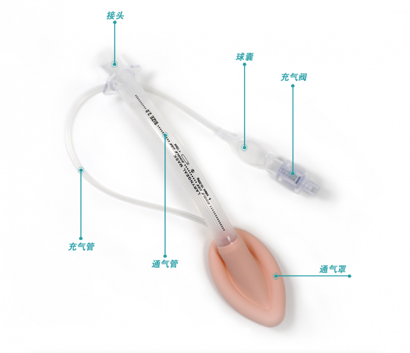 一次性使用醫(yī)用喉罩