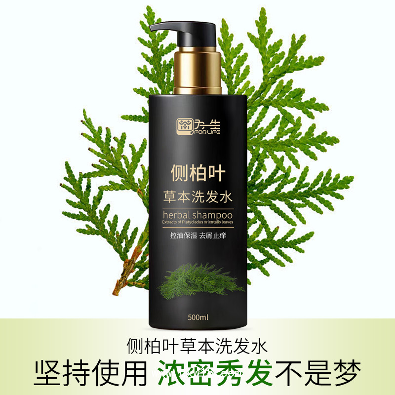 為一生側(cè)柏葉草本植物洗發(fā)水oem批發(fā)廠家