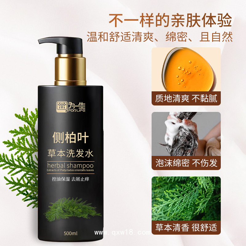 為一生側(cè)柏葉草本植物洗發(fā)水oem批發(fā)廠家