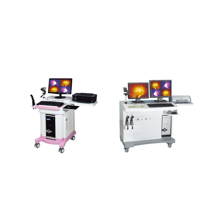 紅外乳腺診斷儀RY-1100A B型雙屏紅外乳腺診斷儀