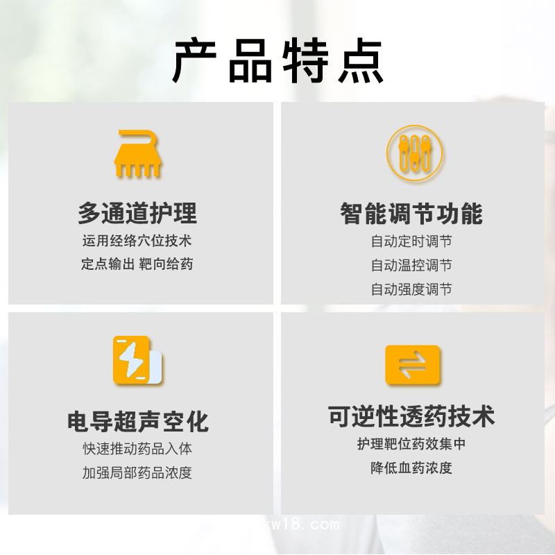 超聲透藥儀 超聲透藥儀廠家 超聲導(dǎo)藥儀